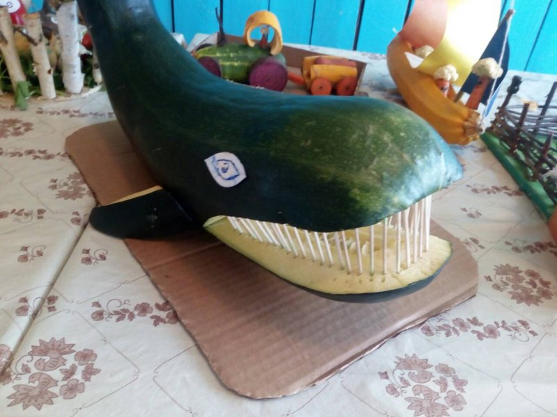 Машинка из кабачка дары осени