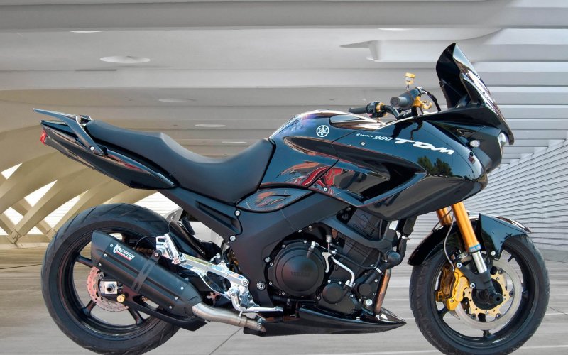Tdm900 2010