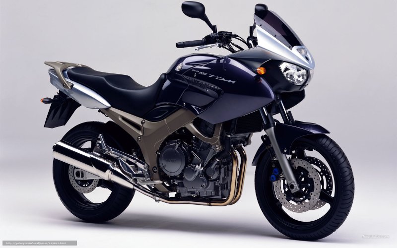 Yamaha TDM 900 2008