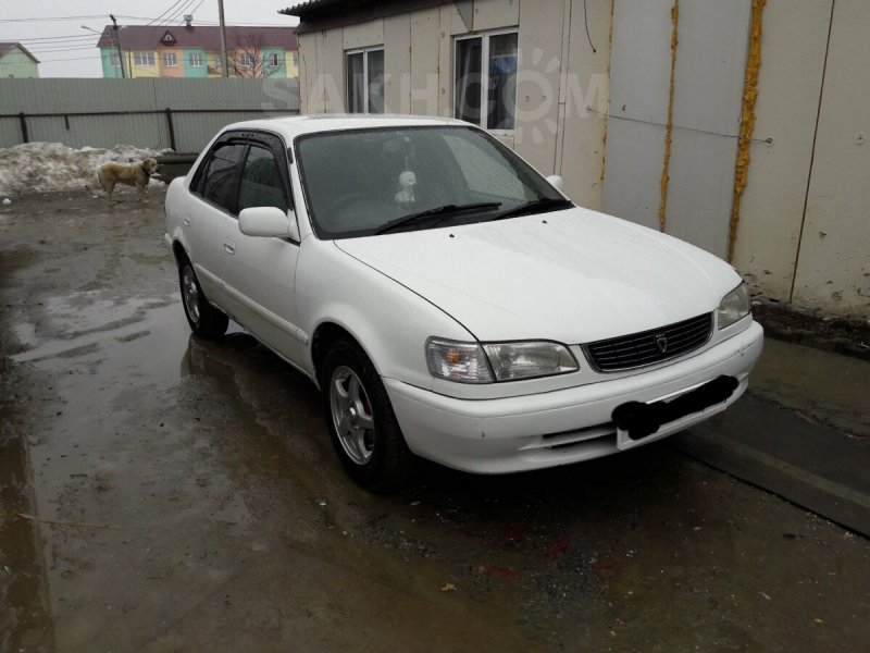 Toyota Corolla 1997 100