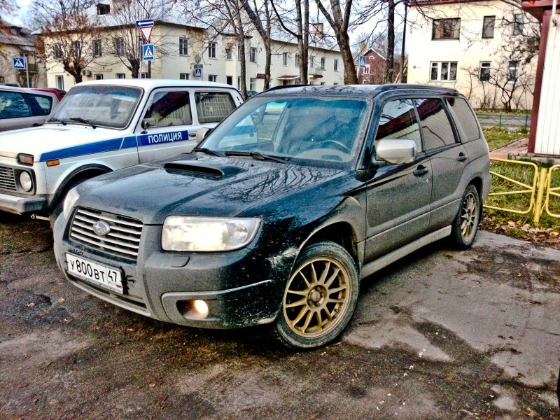 Форестер Лесник