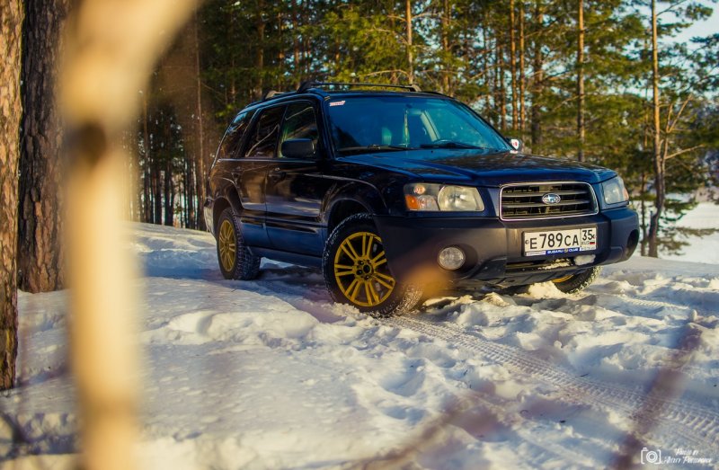 Subaru Forester зима лес