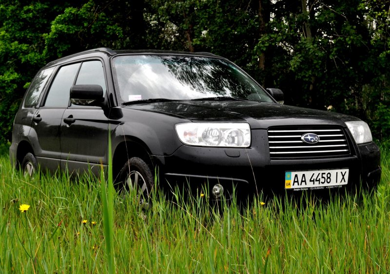 Forester Лесник