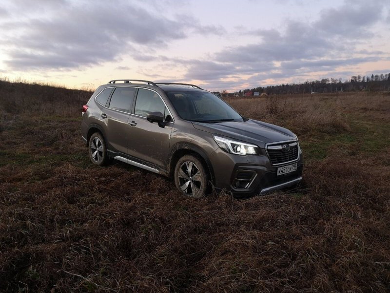 Forester (Лесник) характеристики