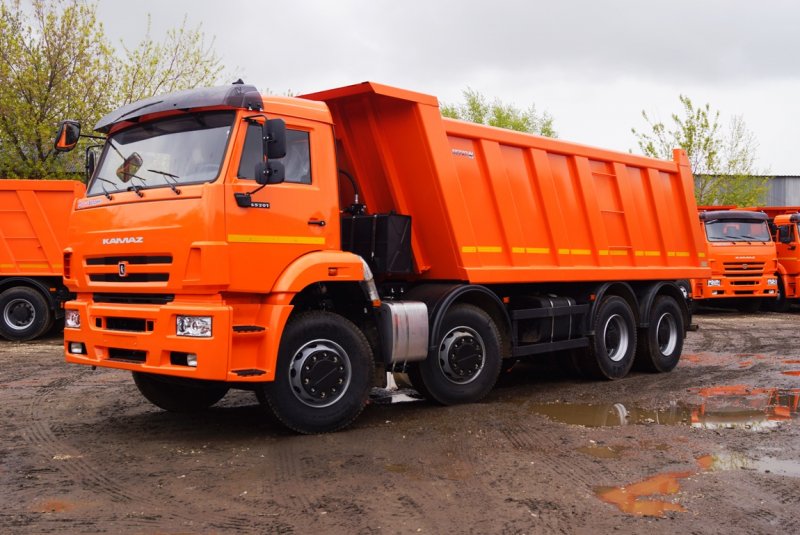 КАМАЗ 65201-6012-49