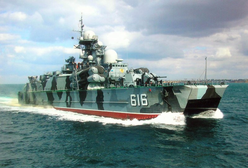 РКВП Бора проекта 1239