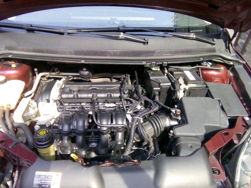 Ford Focus-2 2.0 подкапотка