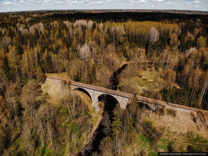 Каменный Железнодорожный мост через реку Ярынья