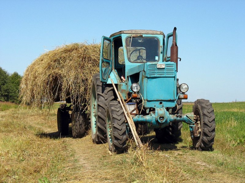 Джулия Фенд трактористка