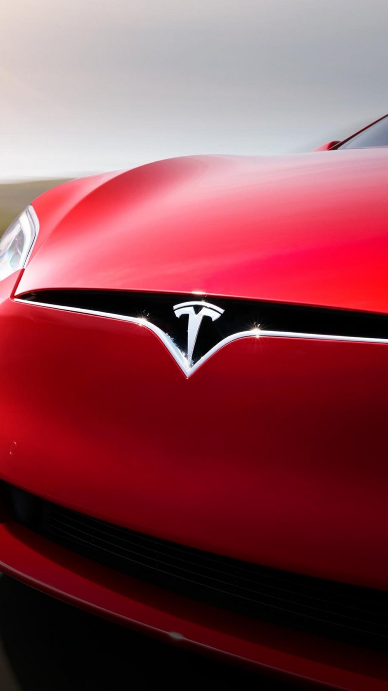 Tesla model x значок