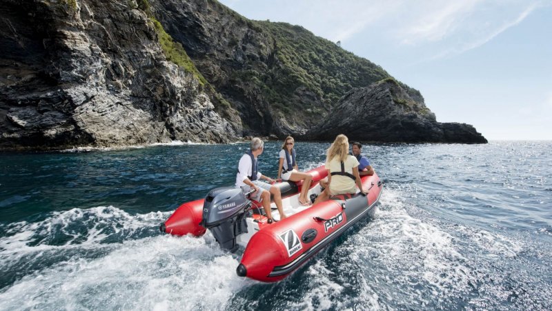 Лодочный мотор Yamaha f15cmhs