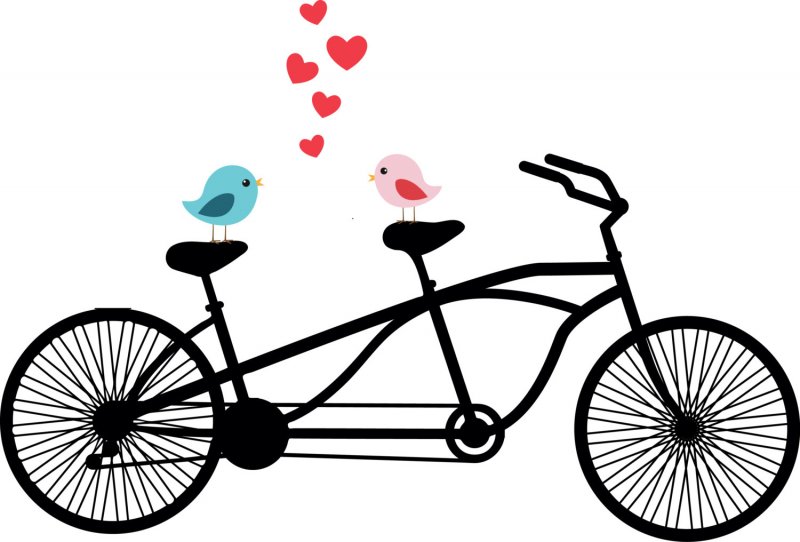 Bicycle с белым фоном