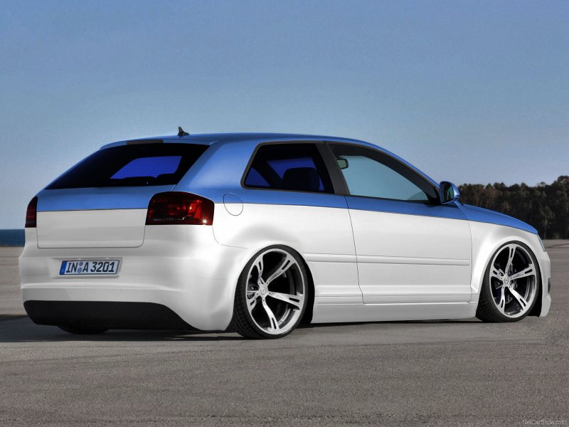 Audi a3 2001 stance
