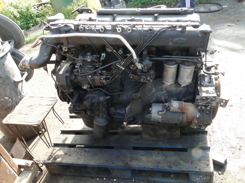 Уплотнительное кольцо ТНВД ман d2866