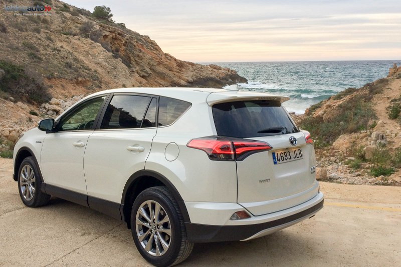 Toyota rav4 коричневый
