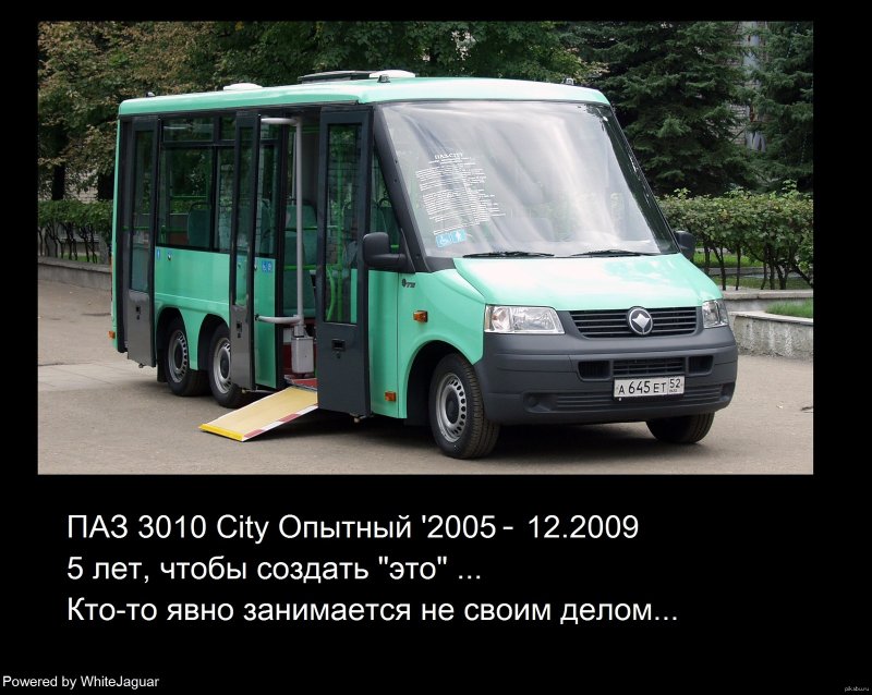 ПАЗ 3010
