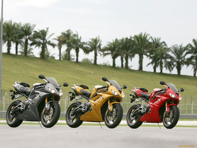 Triumph Daytona обои