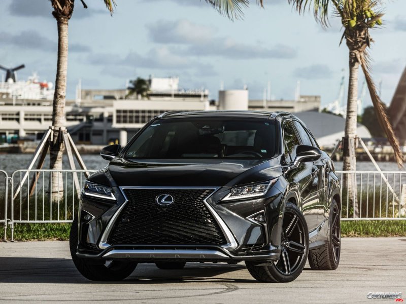 Lexus RX 2010f Sport