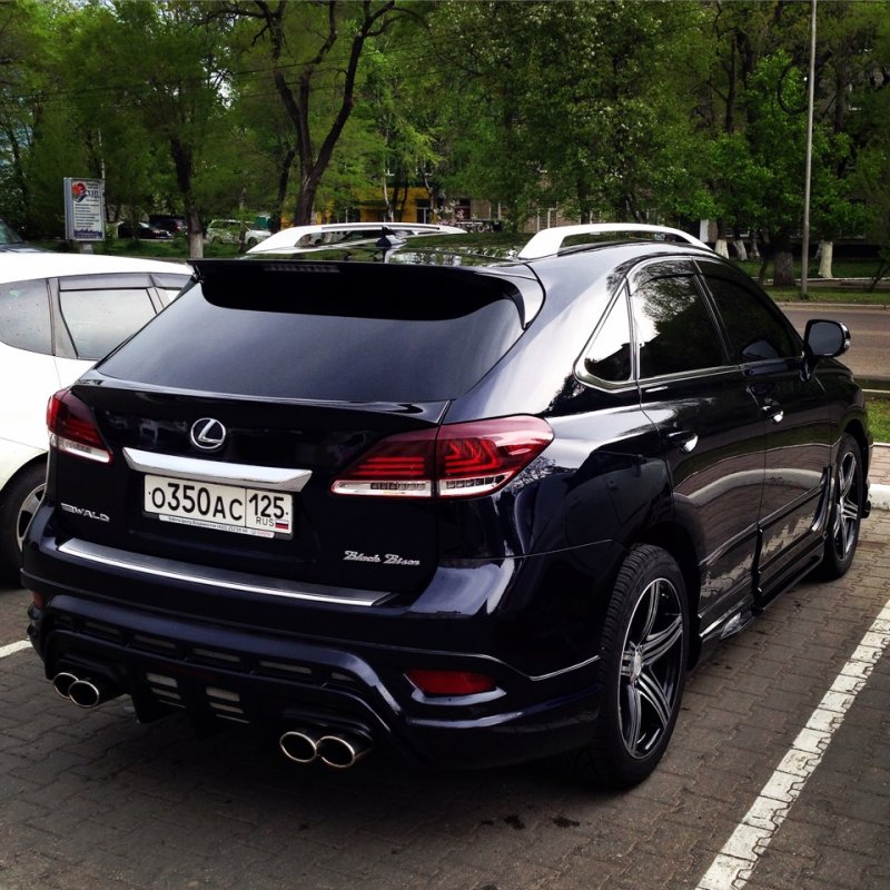 Lexus RX Tuning Wald