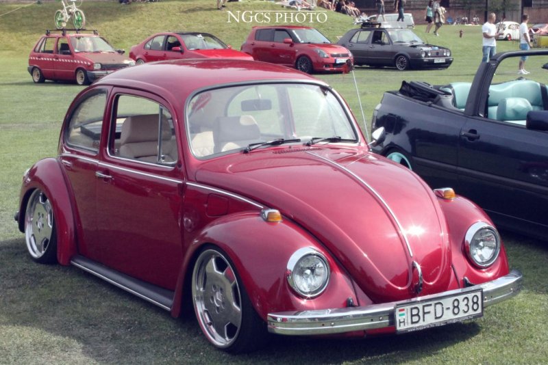 VW Beetle models