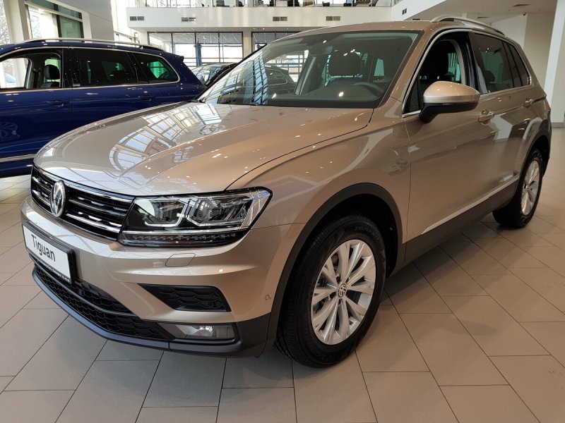 Volkswagen Tiguan 2018 коричневый