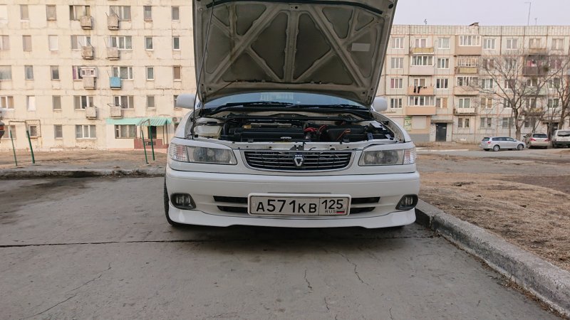 Губа Королла 110