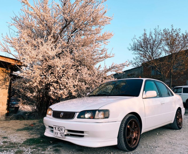 Королла ае 110