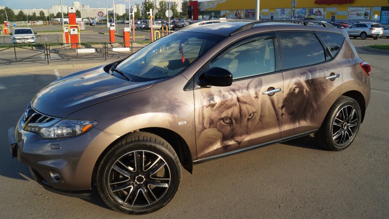 Nissan Murano z51 r22
