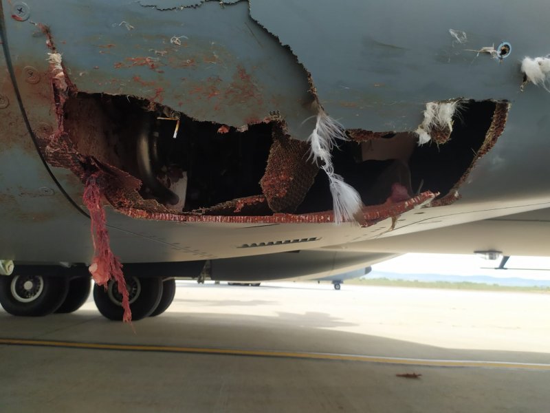 Airbus a400m столкновение с птицей