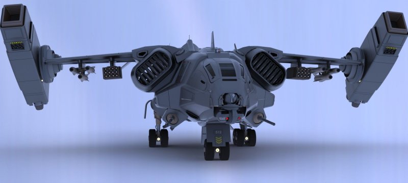 Manta ann2