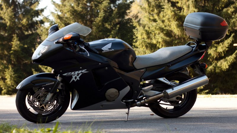 Honda CBR 1100 Blackbird