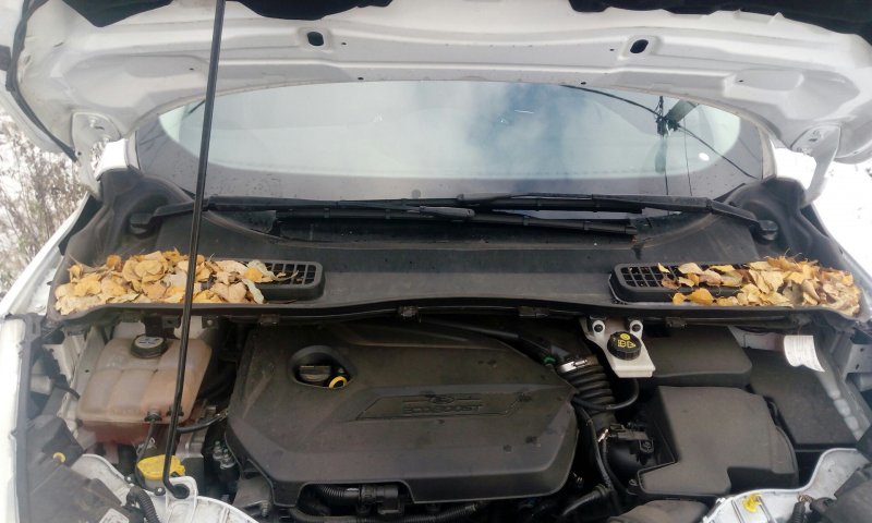 Ford Kuga 2 под капотом