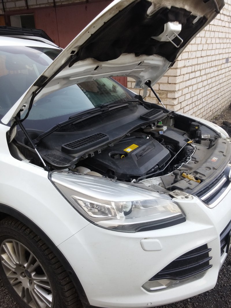 Упоры капота Ford Kuga 2014