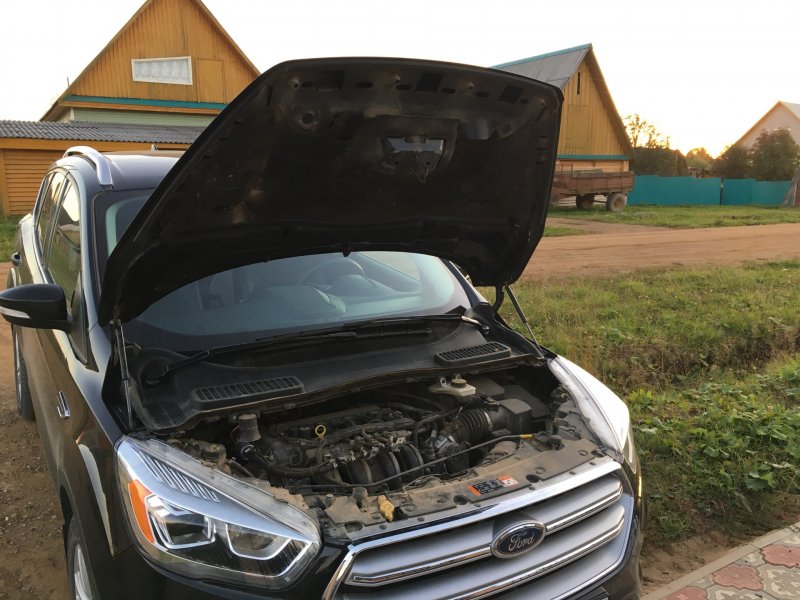 Газовые упоры капота Ford Kuga 2