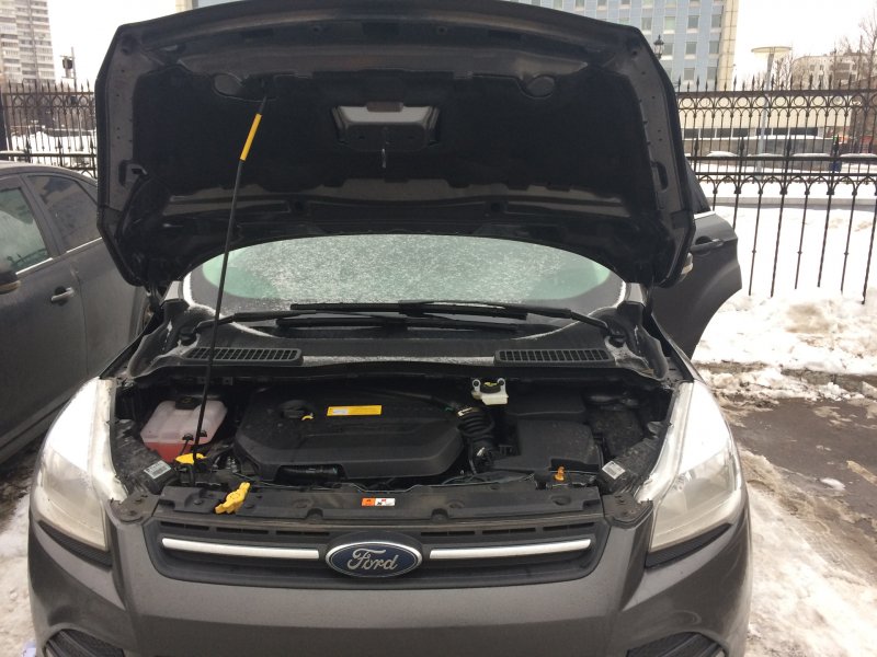 Амортизаторы капота Kuga 2