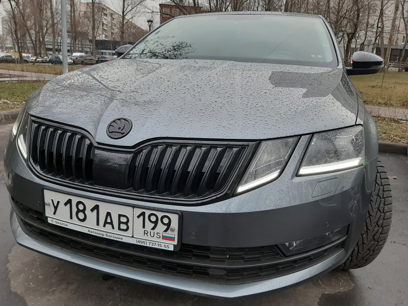 Шкода Октавия 2019 капучино