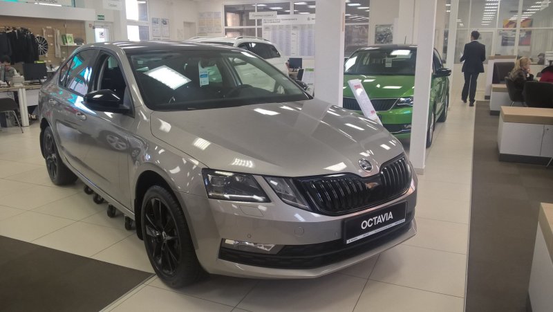 Skoda Rapid мокрый асфальт