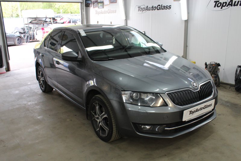 Octavia a7 Interlagos