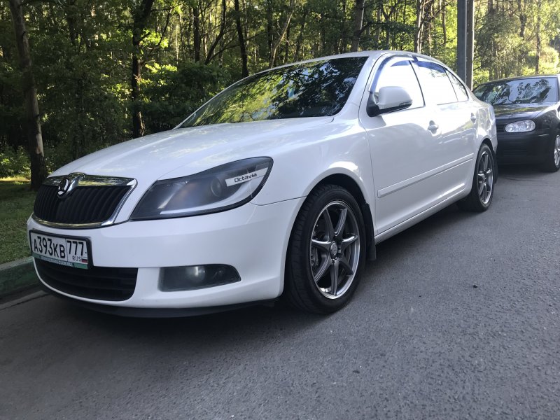 Белая Октавия r17
