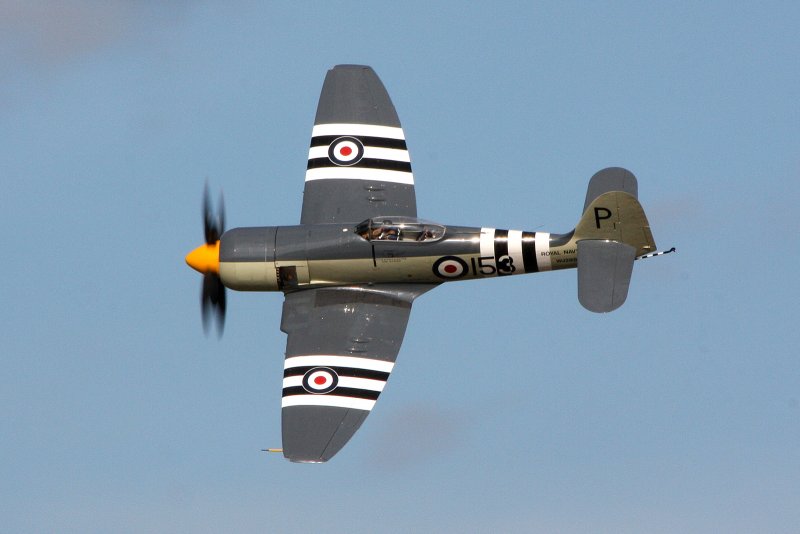 Sea Fury самолет