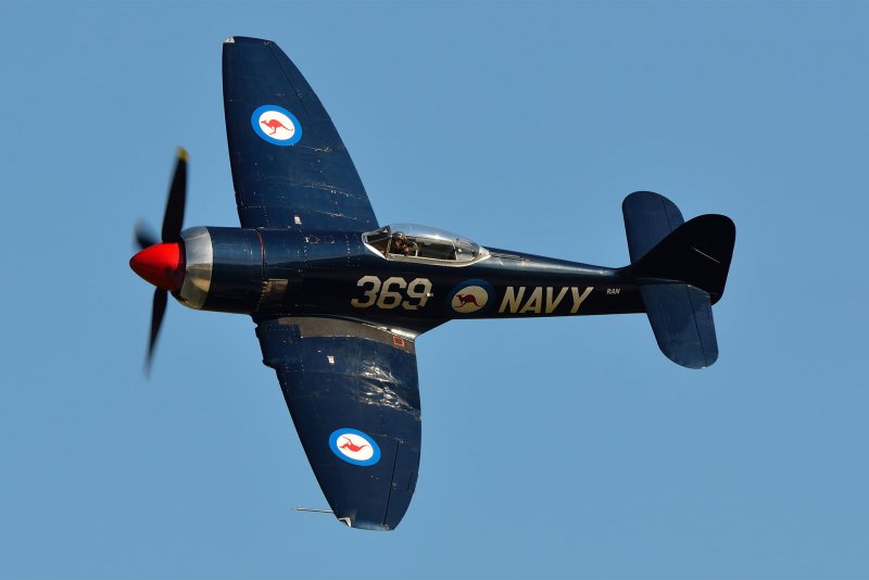 Sea Fury fb.11 фото