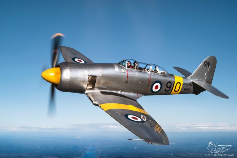 Hawker Sea Fury TG 119
