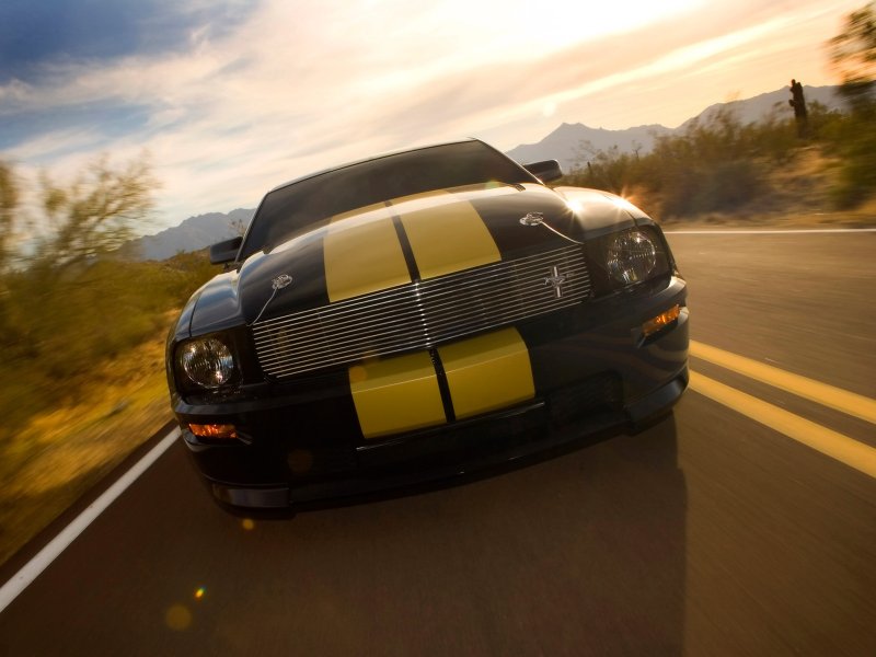 Ford Mustang Shelby gt500