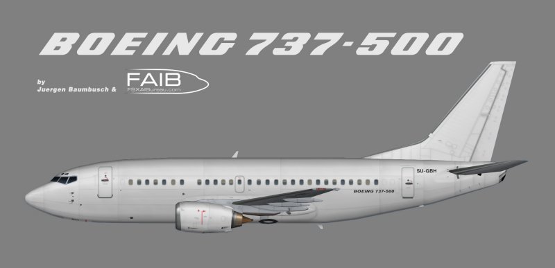 Ana b737