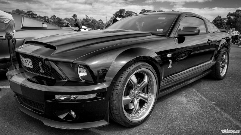 Ford Mustang Shelby gt500 темный фон