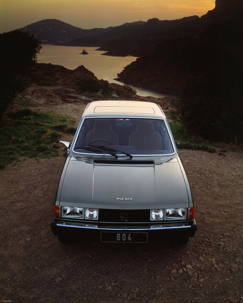 Peugeot 604 Lights