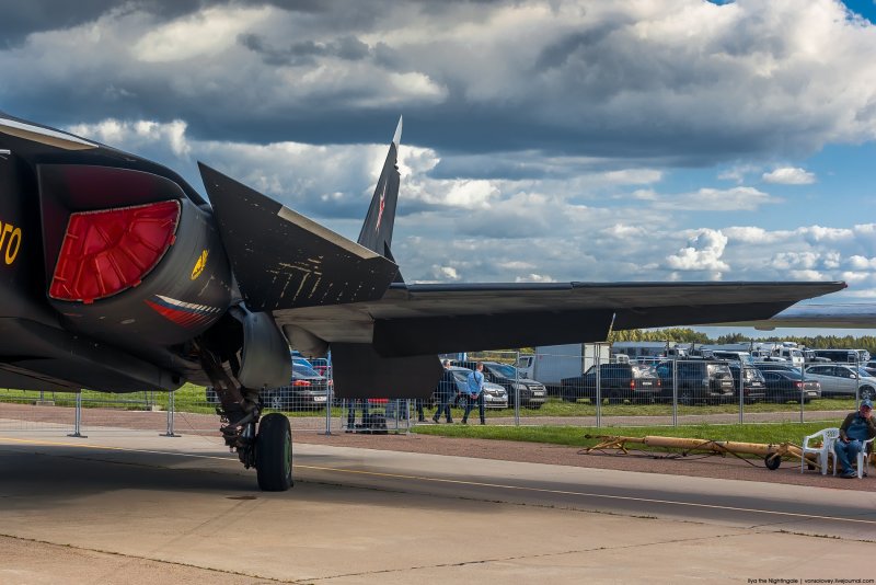 Макс 2019 Беркут