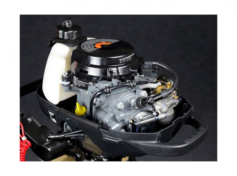 Suzuki DF 9.9 BS