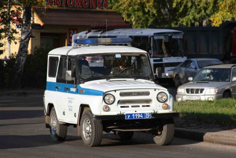 УАЗ 31514 полицейский