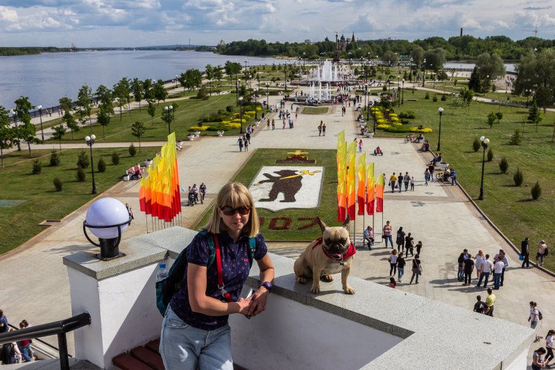 Ярославль стрелка